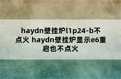 haydn壁挂炉l1p24-b不点火 haydn壁挂炉显示e6重启也不点火